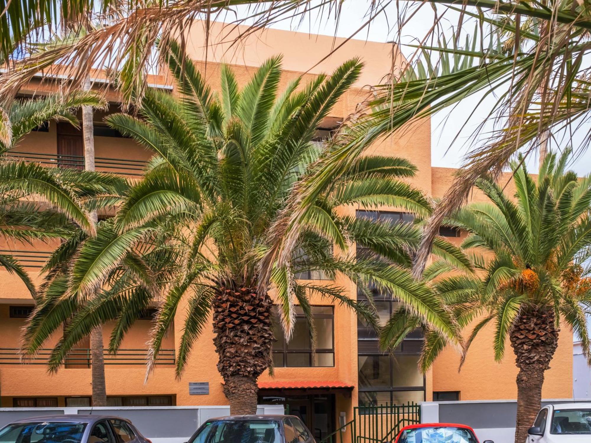 Live Punta Columbus Pool & Beach Front Punta Del Hidalgo Extérieur photo